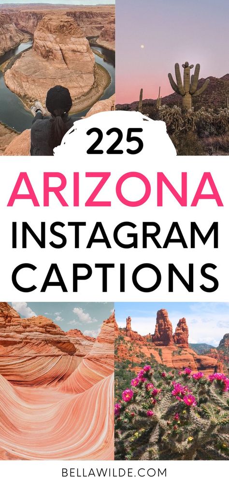 Arizona Quotes, Desert Quote, Instagram Captions Travel, Puns Quotes, Arizona Aesthetic, Instagram Post Captions, Captions For Instagram Posts, Cute Quotes For Instagram, Short Funny Quotes