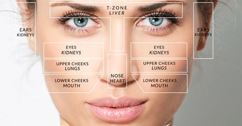 Face mapping, based on Ayurveda and ancient Chinese Medicine, aims to diagnose internal diseases by examining skin problems. Doterra Acne, Gesicht Mapping, Face Mapping Acne, Body Toxins, Face Mapping, Things To, To Try, Acne Causes, Hormonal Acne