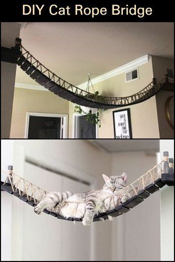 Katt Diy, Bridge Project, Katt Grejer, Kat Diy, Rope Bridge, Cat Patio, Cat Tree House, Diy Cat Tree, Cat Wall Furniture