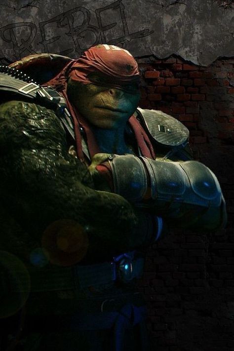 Ninja Turtles 2014, Raphael Ninja Turtle, Raphael Tmnt, Teenage Mutant Ninja Turtles Artwork, Teenage Mutant Ninja Turtles Art, Ninja Turtles Artwork, Tmnt Artwork, Tmnt Art, Ninja Turtles Art