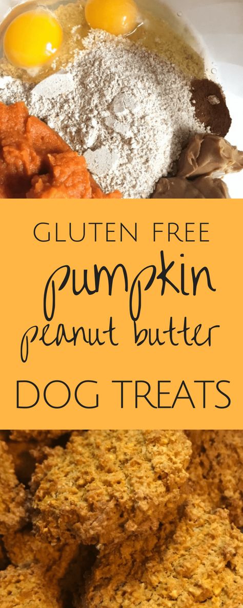 Pumpkin Peanut Butter Dog Treats, Gluten Free Dog Treats, Pumpkin Peanut Butter, Dog Treats Grain Free, Dog Biscuit Recipes, Healthy Dog Treats Homemade, Easy Dog Treats, Peanut Butter Pumpkin, Peanut Butter Dog Treats