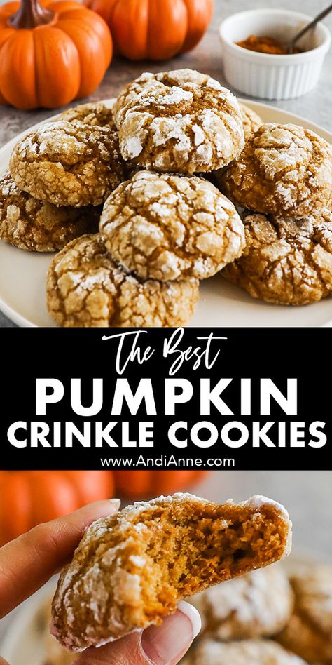 Pumpkin Crinkle Cookies, Autumn Treats, Crinkle Cookies Recipe, Pumpkin Cookie Recipe, Pumpkin Recipes Easy, Pumpkin Spice Cookies, Pure Vanilla, Crinkle Cookies, Spice Cookies