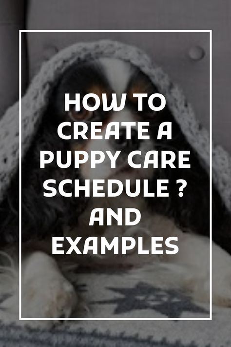 The basics for making a puppy care schedule Puppy Schedule 8 Week Old, Puppy Schedule, Puppy Kennel, Daily Routine Schedule, Day Schedule, Training Day, Puppy Care, Dog Obedience, A Puppy