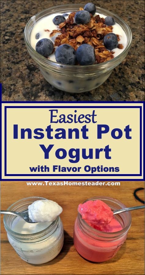 Homemade Yogurt Made Even Easier In An Instant Pot Pressure Cooker. ~ Texas Homesteader ~ Homesteading Inspiration, Instant Pot Yogurt Recipe, Flavored Yogurt, Homemade Yogurt Recipes, Make Your Own Yogurt, Instant Pot Yogurt, Making Yogurt, Creamy Yogurt, Yogurt Recipe