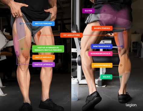 How to Front Squat: Form, Benefits & Alternatives | Legion Front Squat Form, Lunge Form, Lunges Benefits, Zercher Squat, Curtsy Lunges, Back Squat, Lunge Variations, Squat Form, Back Flexibility