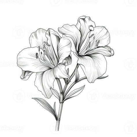 summer Alstroemeria flower ai generated Alstroemeria Flower Drawing, Astromeria Tattoo, Alstroemeria Flower Tattoo, Alstroemeria Drawing, Alstroemeria Tattoo, Alstroemeria Flower, Tattoo Planning, Airplane Tattoos, Tattoo Flowers