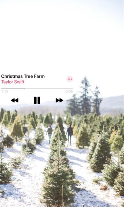 Christmas Tree Farm Aesthetic Taylor Swift, Christmas Tree Farm Wallpaper Taylor Swift, Christmas Tree Farm Taylor Swift Lyrics, Taylor Swift Christmas Wallpaper Iphone, Taylor Swift Christmas Wallpaper Lyrics, Taylor Swift Winter Aesthetic, Taylor Swift Music Wallpaper, Holiday Homescreen, Christmas Music Wallpaper