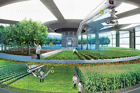 Crop Farming, Indoor Farming, Film Technique, Eco City, Future Farms, Vertical Farming, Urban Agriculture, Vertical Gardens, Aquaponics System