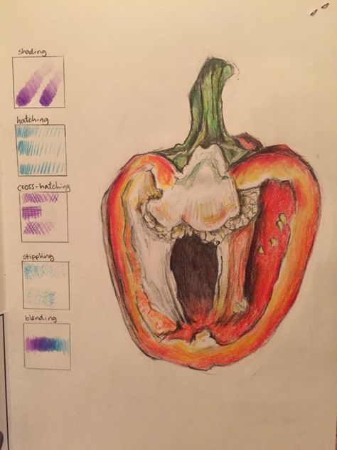 Veg Drawing, Pepper Drawing Pencil, Capsicum Drawing, Gcse Art Food Final Piece, Gcse Art Food Title Page, Pepper Drawing Realistic, Gcse Art Pepper Page, Drawing Objects, Biro Drawing