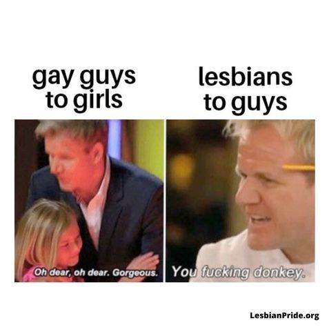 Lgbtq Quotes, Lgbt Humor, Lgbt Memes, Lgbtq Funny, Lgbtq Stuff, Gay Humor, Gay Memes, Random Memes, Internet Funny