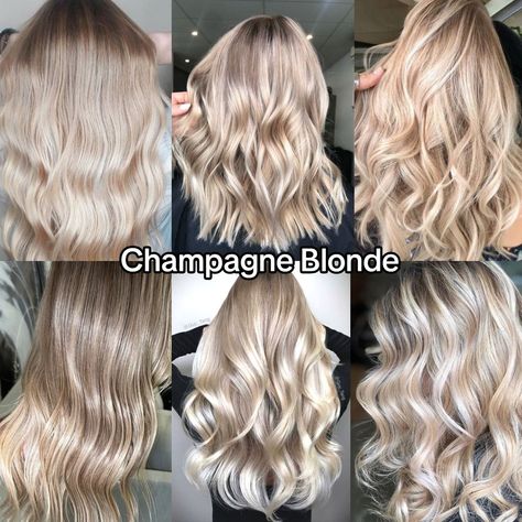 Champagne Blonde Hair Color, Champagne Blonde Hair, Hair And Skin Vitamins, Blonde Hair With Roots, Summer Blonde Hair, Champagne Blonde, Blonde Hair Inspiration, Blonde Hair Shades, Hair Shades