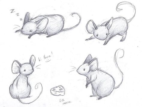 Mouse Sketch, Cartoon Drawings Of People, Mouse Illustration, Mouse Drawing, Cute Mouse, Animal Sketches, Cute Animal Drawings, Soft Sculpture, Pictures To Draw