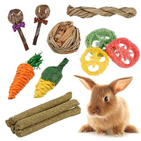 Toys For Rabbits, Rabbit Chew Toys, Pet Rabbit Toys, Chinchilla Toys, Hamster Toys, Bunny Treats, Guinea Pig Toys, Bunny House, House Rabbit