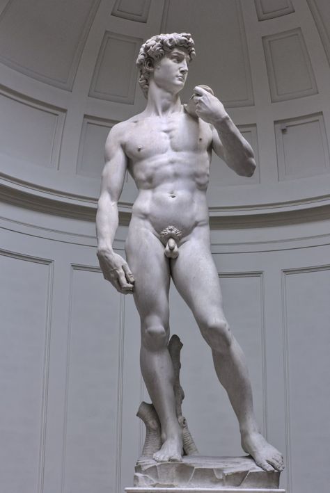 naked man statue near white wooden wall photo – Free Galleria dell'accademia Image on Unsplash Statue Of David, Male Art Men, Famous Artists Paintings, Greek Men, Famous Sculptures, Classic Sculpture, Antique Sculpture, Greek Statues, Antique Statue