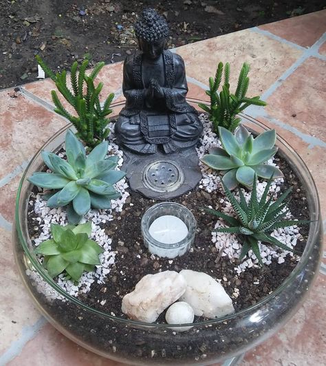 Vida y belleza para regalarsuculentas jardineria plantas terrario fairygarden zen souvenir regalosori... Goodvibes Only, Mini Jardin Zen, Buddha Garden Ideas, Indoor Zen Garden, Succulent Photography, Miniature Zen Garden, Diy Succulent Terrarium, Mini Zen Garden, Buddha Garden