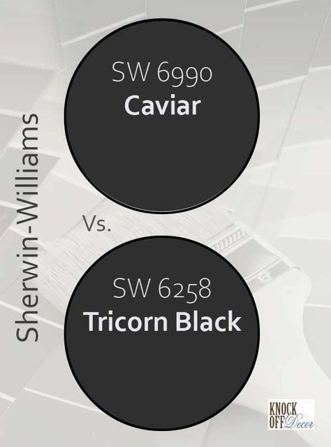 caviar-vs-tricorn-black Tricorn Black Vs Caviar, Inkwell Sherwin Williams, Caviar Sherwin Williams, Tricorn Black, Black Paint Color, Black Hold, Dark Paint Colors, Darkest Black Color, William Black