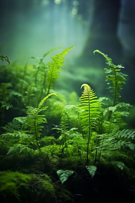 Fern leaf in green forest filled with water and plants. Generative AI stock image Fern Leaf, Green Forest, Water Plants, Fern, Stock Illustration, Stock Images, Forest, Plants, Water