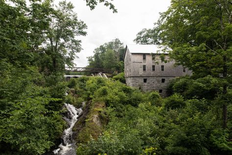 Secrets from the Lost Kitchen: How to Arrange Flowers like a Self-Taught Maine Chef The Lost Kitchen, Lost Kitchen, Cold Mountain, Iron Mountain, Old Farm Houses, Western Movies, Antique Stores, Kitchen In, Tea Room