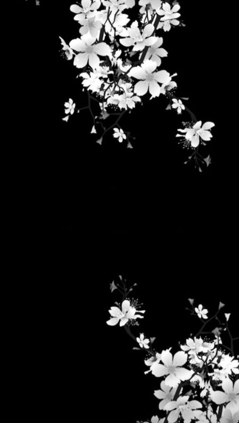 Monochrome Wallpaper Desktop, Black Flowers Wallpaper, Japan Wallpaper, Sakura Wallpaper, Japanese Wallpaper Iphone, Japanese Wallpaper, Galaxy Wallpaper Iphone, Japanese Artwork, Black Phone Wallpaper