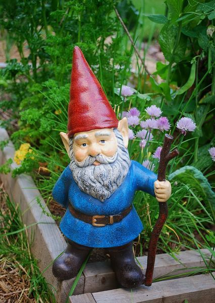 Hello, I am Garlos the Gnome, leader of this clan. How may I be of service to you? Garden Gnomes Statue, Gnome Statues, Garden Gnomes, Tea Party Decorations, Gnome House, Jaguar Land Rover, Garden Gnome, Backyard Inspo, Cactus Y Suculentas