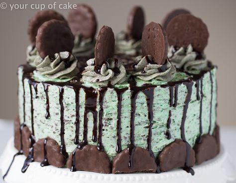 Mint Cupcakes, Mint Frosting, Mint Chocolate Cake, Mint Cake, Devils Food Cake Mix Recipe, Andes Mint, Layer Cakes, Oreo Cake, Bakery Cakes