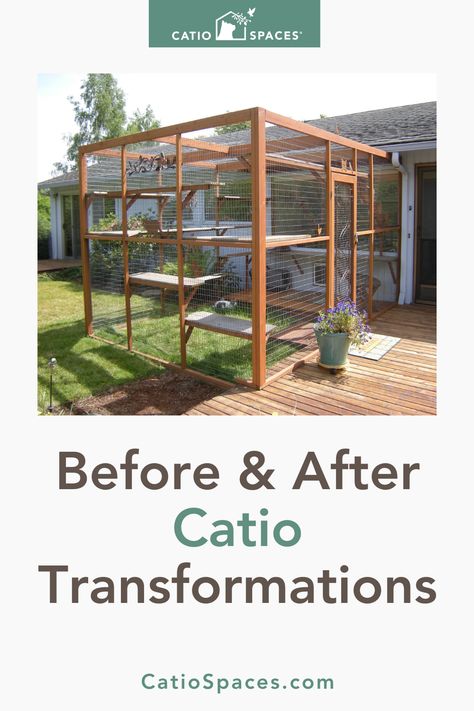 Before and After Catio Transformations | Every cat is unique and so is every home, garden and landscape. If you're considering a catio for your cat to enjoy the enrichment of nature, there are several factors to be aware of when choosing a location. Consider how much space is available, sunglight, stimulating views and how your cat will access a catio. Here are six catio locations Catio Spaces transformed into safe, cat-friendly spaces. Inside Catio Ideas, Catios Diy Large, What To Put Inside Catio, Cat Friendly Patio, Outdoor Catio Cat, Catios Diy How To Build, Catio Plans Diy, Diy Catios For Cats Outside, Diy Catios For Cats