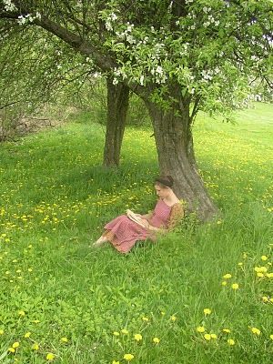 Reading outside under the apple tree Sitting Under A Tree, 숲 사진, Under A Tree, Peaceful Places, Woman Reading, The Meadows, Book Nooks, The Grass, I Love Books