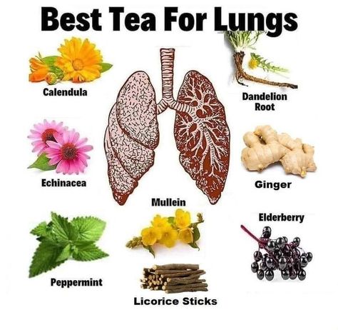 Tea For Lungs, Books And Tea, Tea Remedies, Medical Herbs, Healing Tea, Herbal Teas Recipes, Magic Herbs, Natural Healing Remedies, Herbal Healing