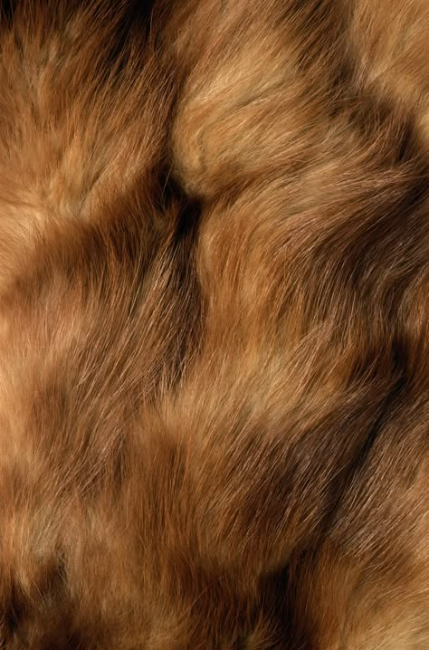 Soft. Musky. Just stick your face in it, he likes it. Fur Aesthetic, Fur Background, Fur Texture, Animal Fur, Free Textures, Brown Fur, Background Background, Textured Artwork, Texture Background