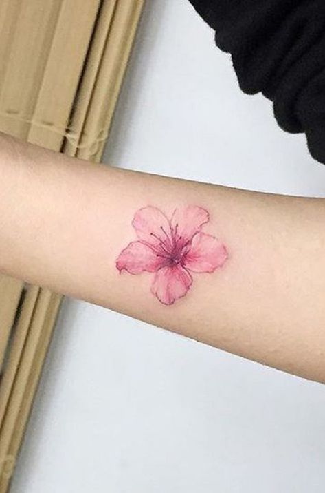 Pink Flower Tattoos, Lotusblume Tattoo, Delicate Flower Tattoo, Sakura Tattoo, Pink Tattoo, Tattoo Forearm, Blossom Tattoo, Cherry Blossom Tattoo, Arm Tattoos For Women