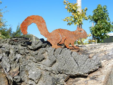 Rusty Metal Squirrel Garden Decoration by Rusty Rooster. £10 plus delivery From www.rustyrooster.co.uk or buy online from Etsy www.etsy.com/uk/listing/545922854 #rustymetal #metaldecor #gardendesign #gardenideas #gardengift #squirrel #woodlandsquirrel #redsquirrel Metal Squirrel, Squirrel Sculpture, Rusty Metal Garden Art, Squirrel Ornament, Metal Garden Ornaments, Squirrel Gift, Winter Planter, Prairie Garden, Rustic Home Interiors