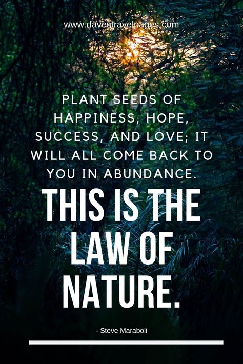 Laws of Nature Quotes: Plant seeds of happiness, hope, success, and love; it will all come back to you in abundance. This is the law of nature Plants Quotes Life Inspiration, Seed Quotes, Law Of Nature, Laws Of Nature, Quotes That Inspire, Plants Quotes, Garden Quotes, Plant Seeds, Travel Quotes Inspirational