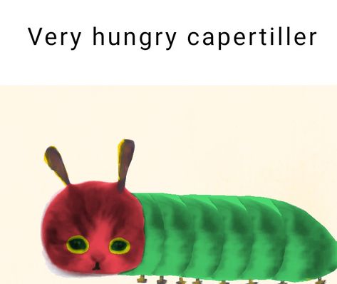 Capperpiller Woolybear Caterpillar, I Miss My Cat, Self Deprecating Humor, Born To Be Wild, Silly Cats Pictures, The Very Hungry Caterpillar, Cat Icon, Very Hungry Caterpillar, Silly Images