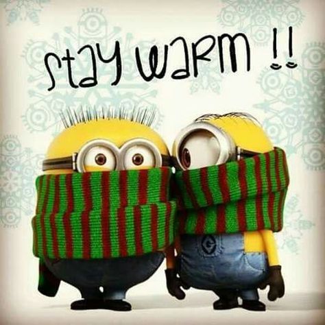 Stay Warm Quotes Funny, Stay Warm Quotes Cold Weather, Week End Humour, Stay Warm Quotes, Warm Quotes, Minion Humor, Winter Humor, Minions Humor, Minion Pictures