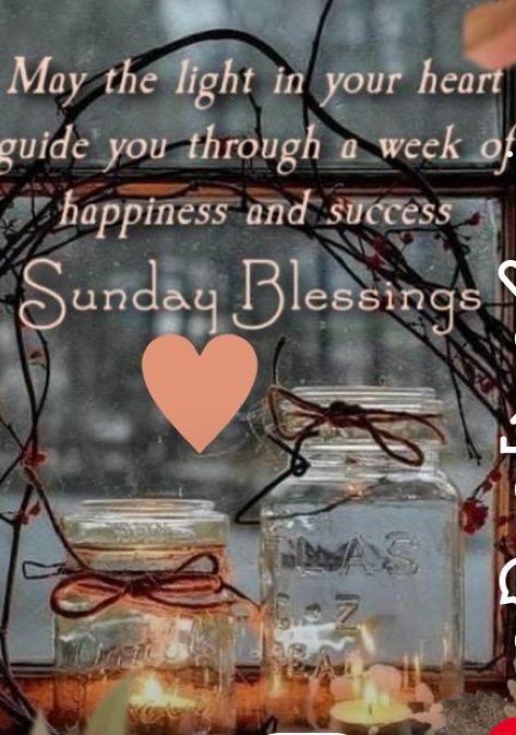 Sunday Morning Images Beautiful, Happy Sunday Images Beautiful, Beautiful Day Quotes, Afternoon Greetings, God Prayers, Weekly Quotes, Good Morning Animals, Good Morning Winter, Sunday Morning Coffee