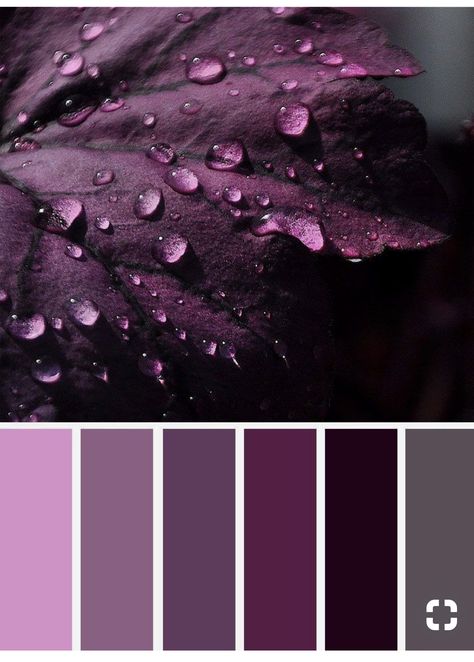 Minimalist Dekor, Purple Color Palettes, Color Schemes Colour Palettes, Room Color Schemes, Design Seeds, Color Balance, Trik Fotografi, Colour Board, Bedroom Colors