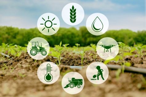 Importance Of Agriculture, Technology In Agriculture, Agriculture Photography, Agriculture Technology, Precision Agriculture, Crop Production, Sustainable Agriculture, Use Of Technology, Business Reviews