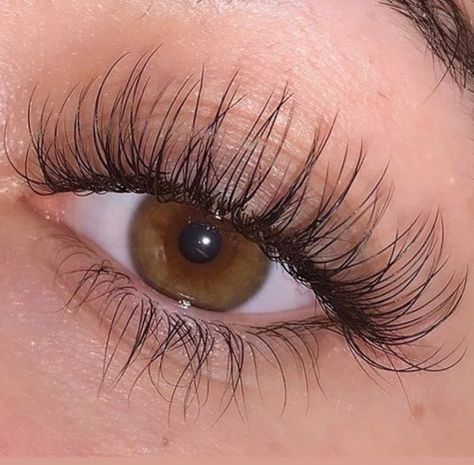 #Natural_Long_Eyelashes #Big_Eyelashes #Natural_Long_Lashes #Big_Lashes Pretty Eye Lashes Natural, Lashes Aesthetic Natural, Curled Lashes Natural, Big Lashes Natural, Natural Lashes Aesthetic, Long Lashes Aesthetic, Naturally Long Eyelashes, Long Natural Eyelashes, Long Eyelashes Naturally