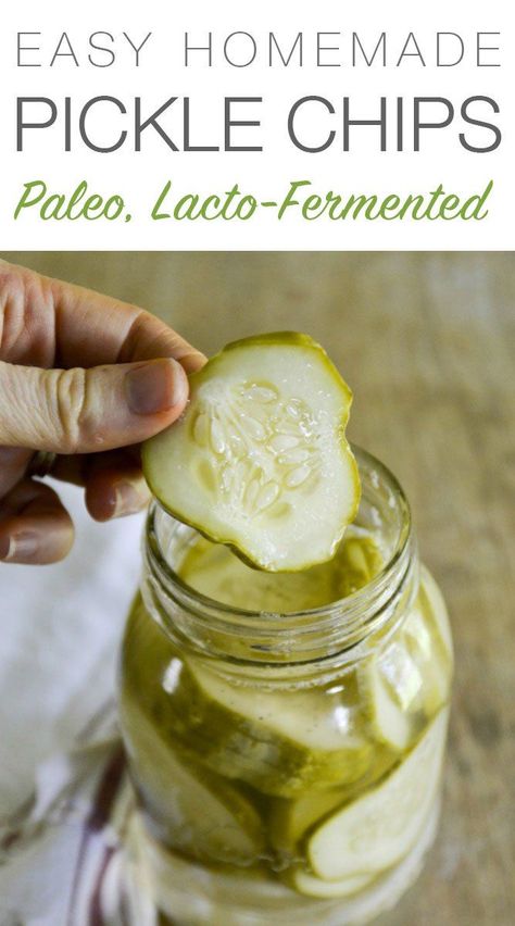 These easy Lacto-Fermented Pickle Chips are a favorite snack and side dish at my house. They're packed with delicious nutrition, so I don't mind. Lacto Fermented, How To Make Pickles, Fermented Veggies, Fermented Pickles, Pickle Chips, Fermentation Recipes, Fermented Vegetables, Gaps Diet, Homemade Pickles