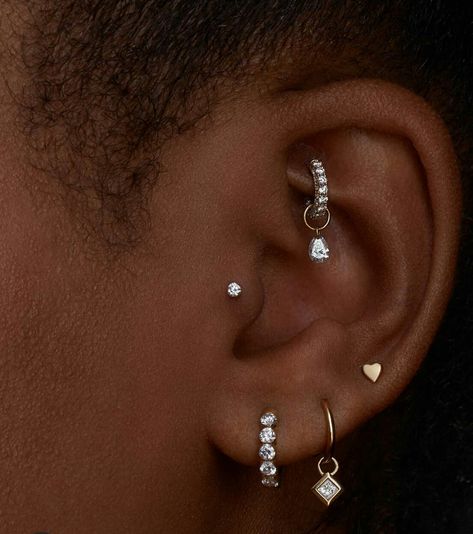 Earing Aesthetic, Tragus Piercing Aesthetic, Piercing Oreille Tragus, Pretty Piercings, Minimalist Ear Piercings, Piercing Inspo, Cool Ear Piercings, Pretty Ear Piercings, Cute Ear Piercings