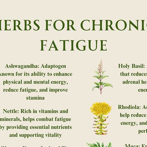 Holistic Health & Wellness on Instagram: "Discover nature’s energy boosters! These powerful herbs are your natural energy allies! From ginseng to ashwagandha, discover nature’s secrets to combating chronic fatigue and boosting vitality. Ready to reclaim your energy levels? 🌿  Disclaimer: Individuals with hypertension should avoid licorice root. This content is for educational purposes only and should not be considered medical advice.   #herbs #herb #holistichealth #holistichealths #herbalism #herbalremedies #naturalmedicine #herbalmedicine #chronicfatigue" Herb Facts, Natural Energy Booster, Chronic Fatigue Remedies, Medicine Recipes, Herbal Education, Detox Waters, Herbal Medicine Recipes, Healthy Juice Drinks, Foods For Healthy Skin