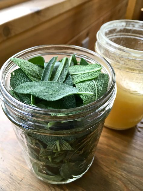 Herbal Medicine Recipes, Herbal Remedies Recipes, Medicinal Herbs Garden, Herb Recipes, Herbal Recipes, Herbal Apothecary, Healing Plants, Herbal Healing, Herbs For Health