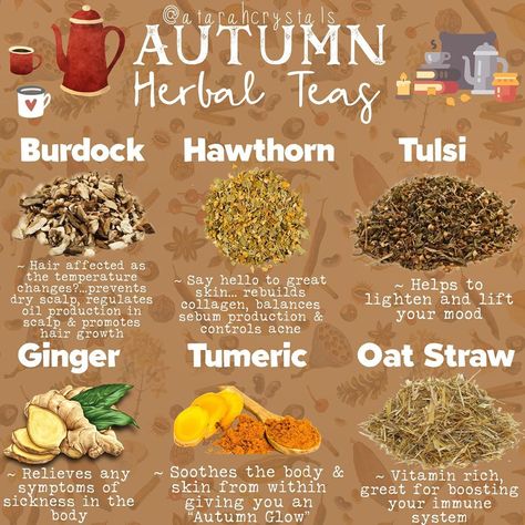 Mabon Tea Blend, Samhain Tea Recipe, Fall Tea Blends, Autumn Tea Recipe, Fall Tea Recipes, Samhain Tea, Autumn Witchcraft, Autumn Herbs, Autumn Routine