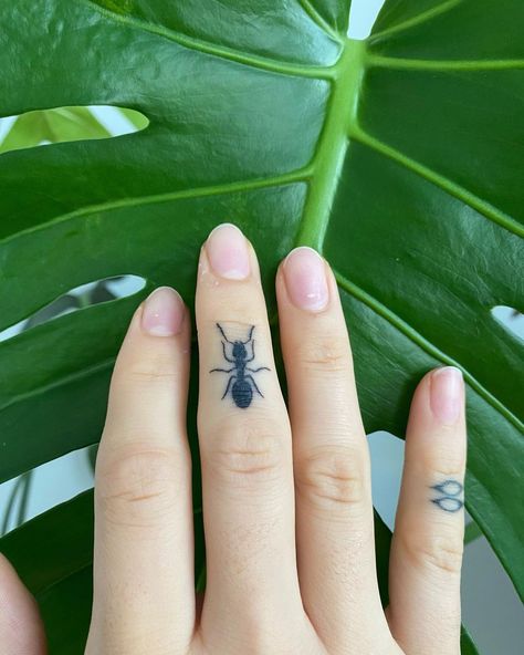 Funky Tattoos Weird, Bug Finger Tattoo, Different Style Tattoos, Tattoo And Piercings, Ants Tattoo, Traditional Insect Tattoo, Small Bug Tattoo, Millipede Tattoo, Finger Tattoo