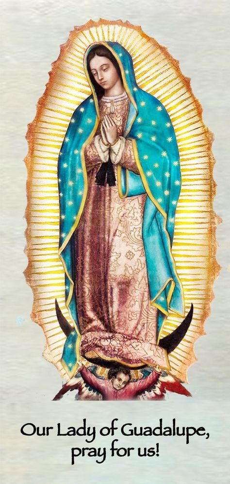 Marian Consecration, Mexican Catholic Art, Mother Mary Wallpaper, Guadalupe Wallpaper, Tart Tins, Illusions Art, Happy Marriage Anniversary, Virgin Mary Art, Maya Art