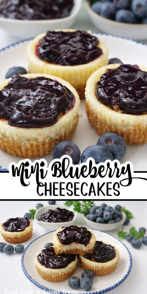 A close up little cheesecake with a bite taken out of it. Mini Blueberry Cheesecakes, Best Summer Desserts, Cheesecake Recipes Classic, Mini Cheesecake Recipes, Easy Cupcake Recipes, Layer Cake Recipes, Poke Cake Recipes, Classic Cheesecake, Sheet Cake Recipes