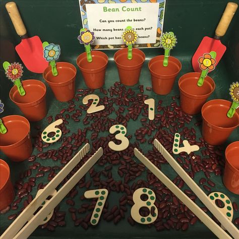 In The Garden Eyfs Activities, Garden Centre Eyfs, Preschool Activities Eyfs, Flower Activities Eyfs, Plant Activities Eyfs, Plants Eyfs Activities, Early Years Garden Activities, Growing Eyfs Activities, Growing Topic Eyfs