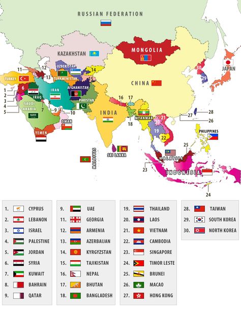 Take a look at this cool visual representation of Asian countries and their flags World Geography Map, Asian Flags, Map Of Asia, Countries Of Asia, World Country Flags, World Map With Countries, Asia Continent, Teaching Geography, Countries And Flags