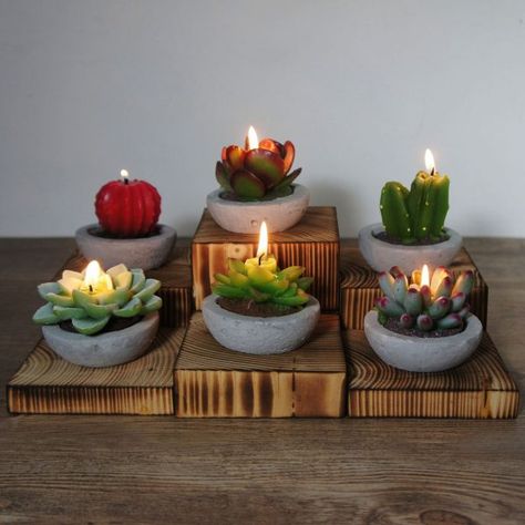 40 Unique Decorative Candles To Add A Soothing Glow To Your Downtime Lola Succulent, Plant Candle, Cactus Candle, Grafted Cactus, Lilin Aroma, Succulent Design, Citronella Candle, Light Bulb Design, Cactus Candles