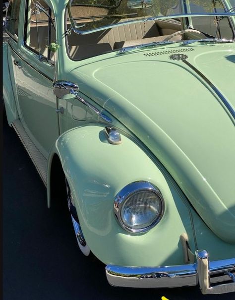 Green Beetle Car, Green Volkswagen Beetle, Green Beetle, Old Muscle Cars, Beetle Car, Hippie Life, Classy Cars, Pistachio Green, Cute Cars